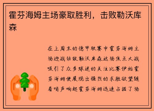 霍芬海姆主场豪取胜利，击败勒沃库森